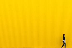 yellow-926728_1920